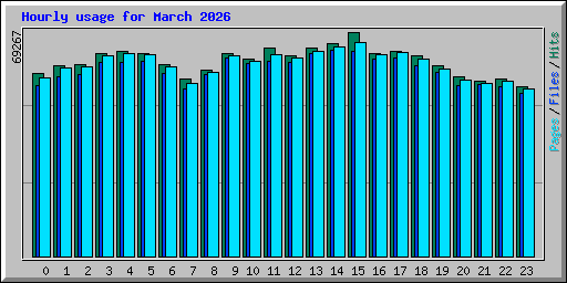 Hourly usage for March 2026