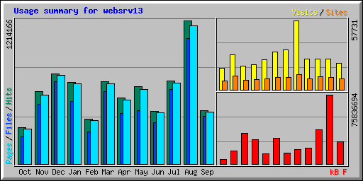 Usage summary for websrv13